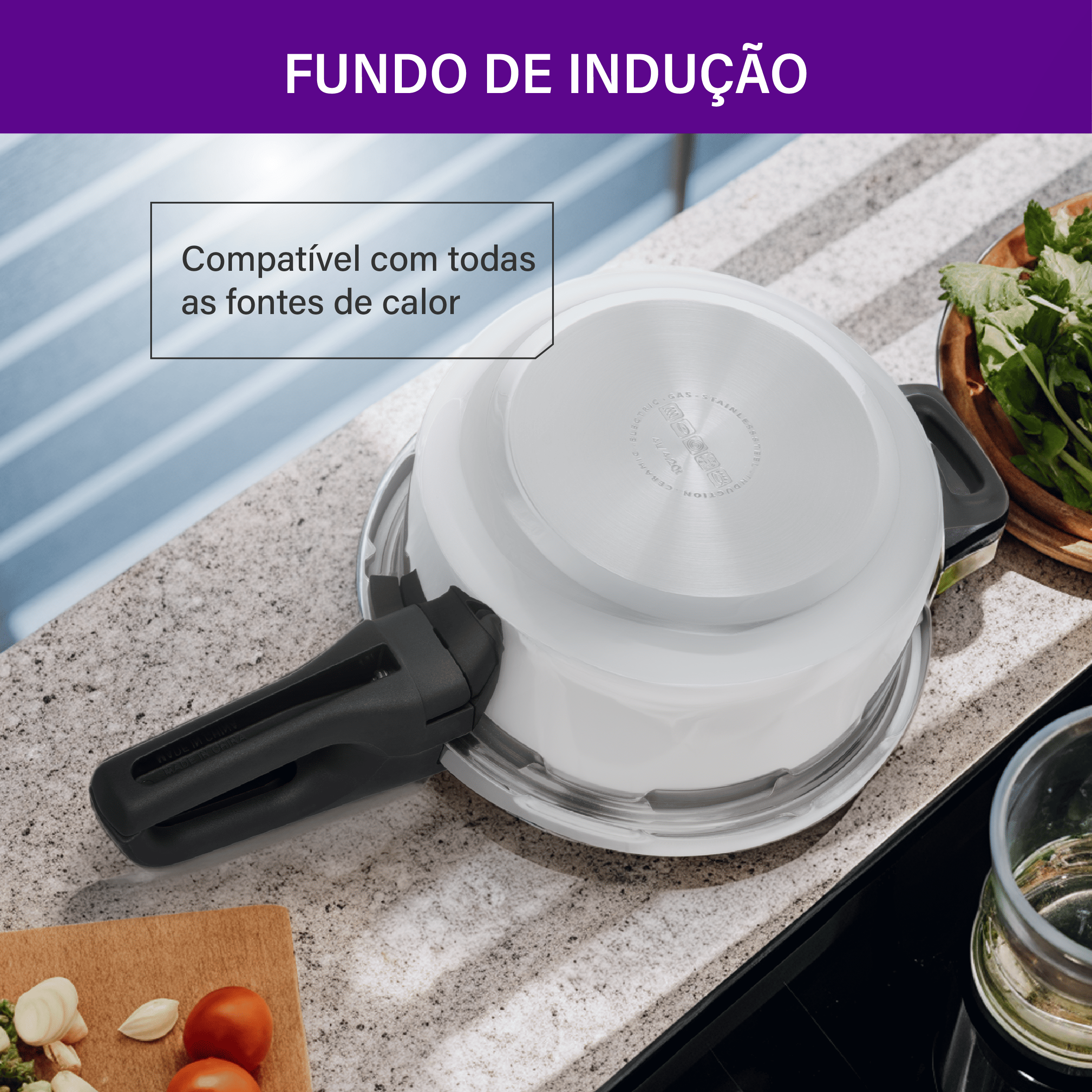 Vista inferior da panela de pressão Rochedo em aço inox. Texto destaca o "FUNDO DE INDUÇÃO" compatível com todas as fontes de calor.